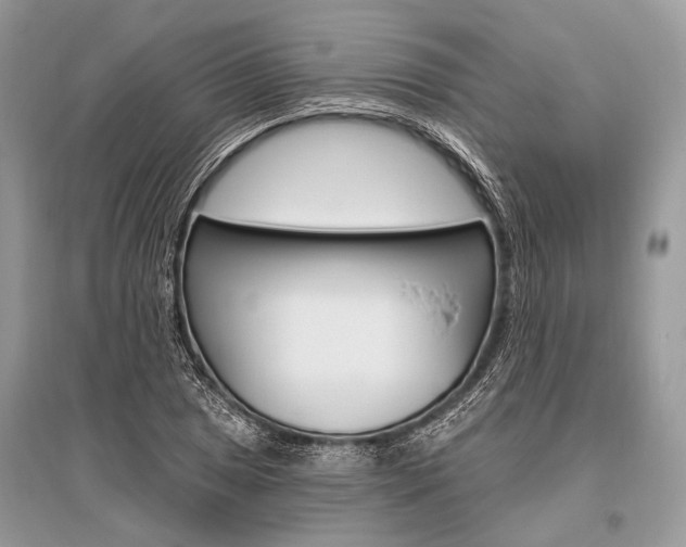 X0000096491025200801241206