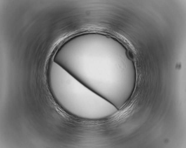 X0000096491027200801241206