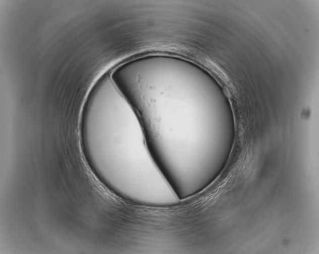 X0000096491028200801241206