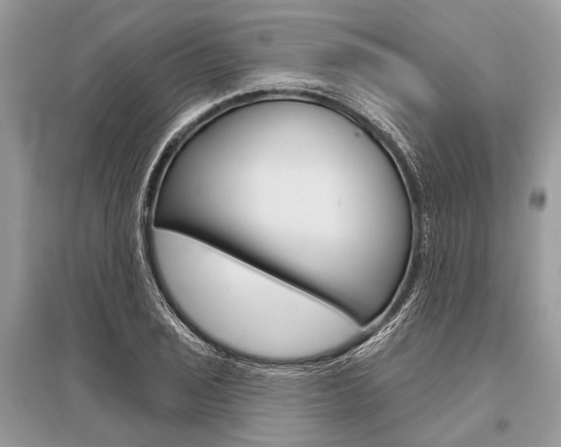 X0000096491029200801241206