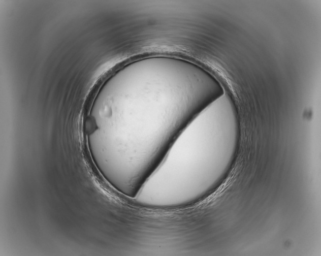 X0000096491030200801241206