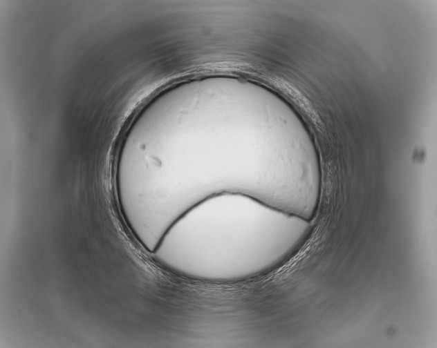 X0000096491031200801241206