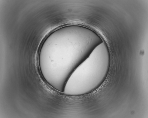 X0000096491032200801241206