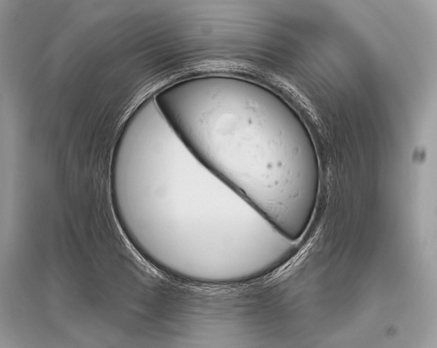 X0000096491033200801241206