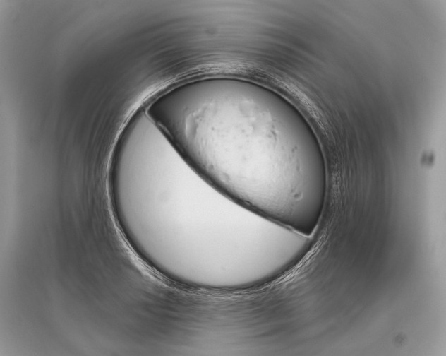 X0000096491034200801241206