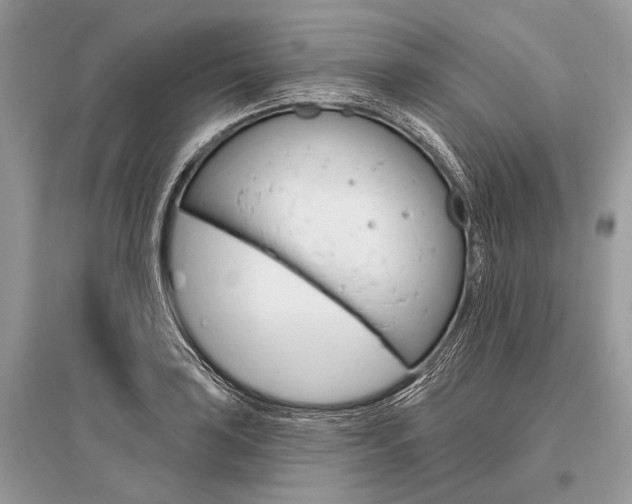 X0000096491035200801241206