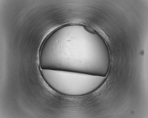 X0000096491036200801241206