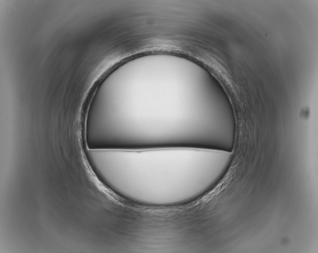 X0000096491038200801241206