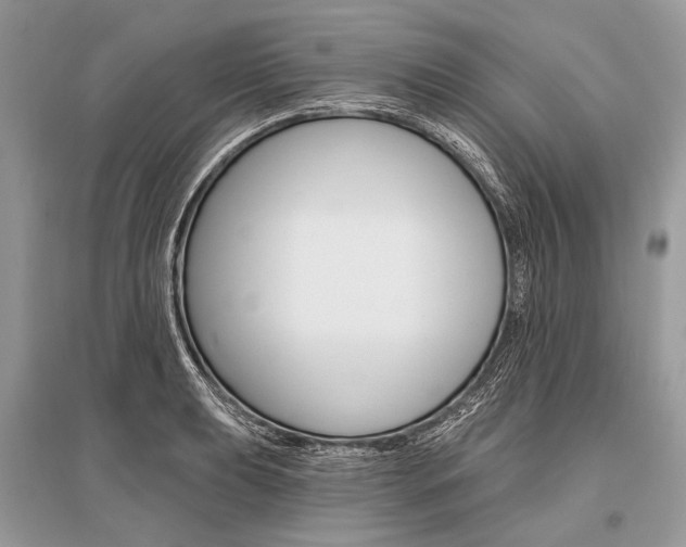 X0000096491039200801241206