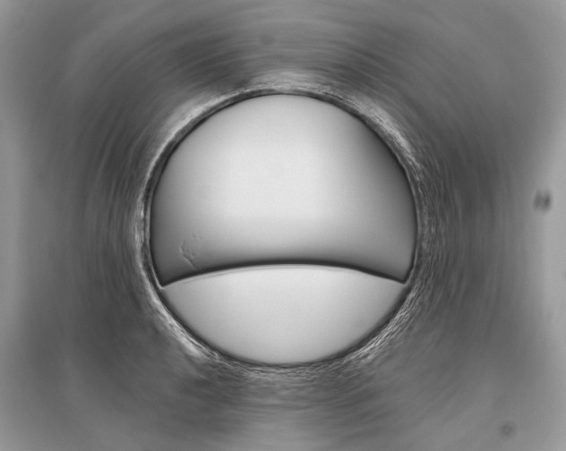 X0000096491040200801241206