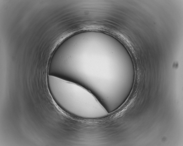 X0000096491041200801241206