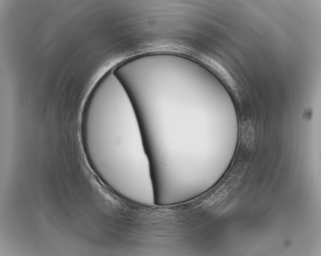 X0000096491043200801241206