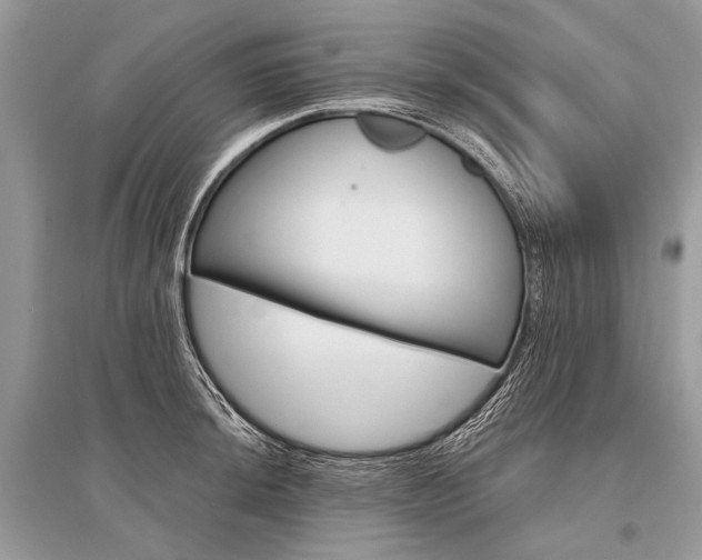X0000096491044200801241206