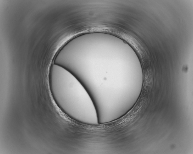 X0000096491047200801241206
