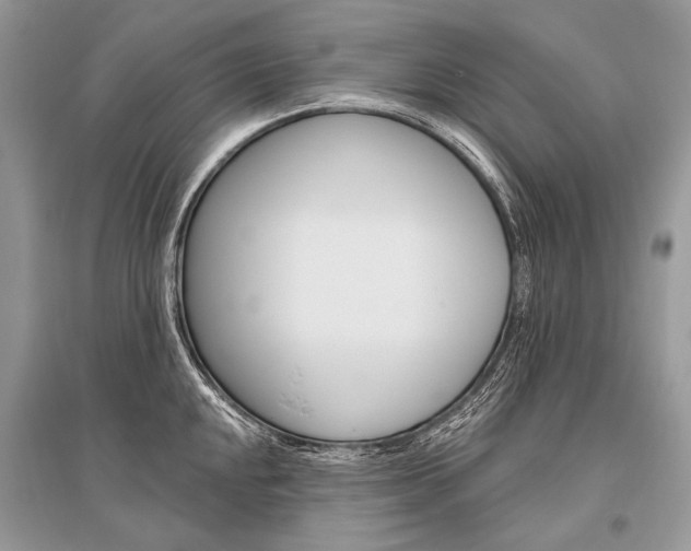 X0000096491048200801241206
