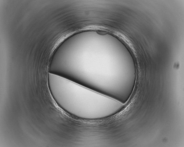 X0000096491049200801241206