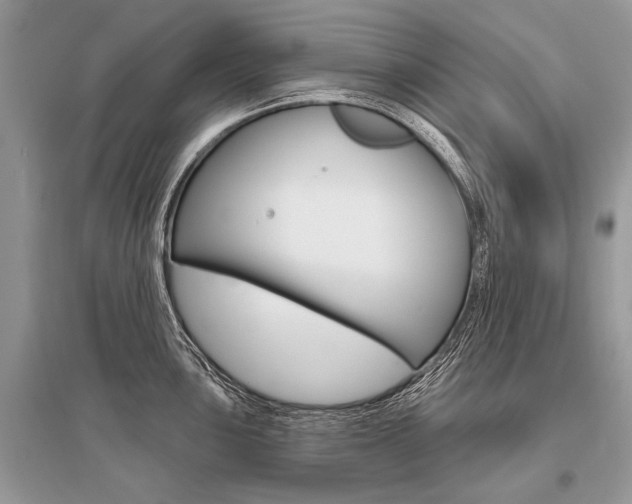 X0000096491051200801241206