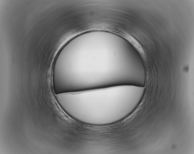 X0000096491052200801241206