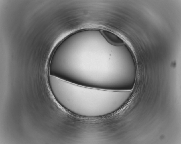 X0000096491053200801241206