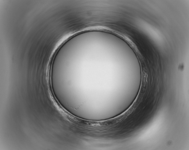 X0000096491054200801241206