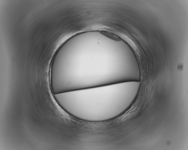 X0000096491055200801241206