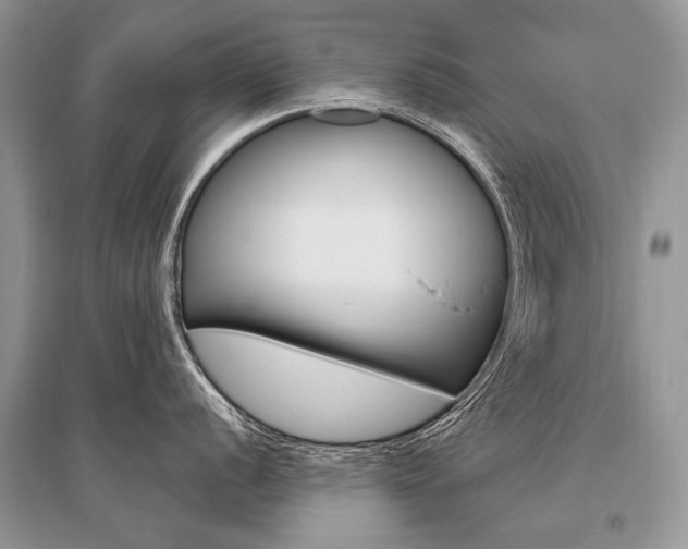 X0000096491056200801241206