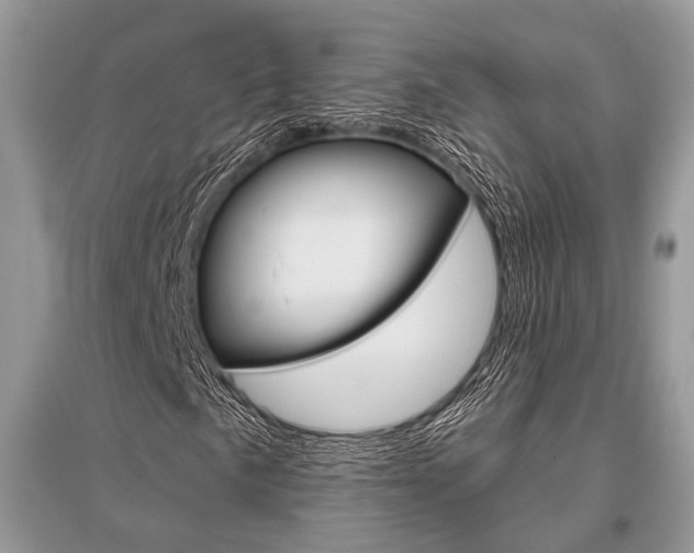 X0000096491057200801241205