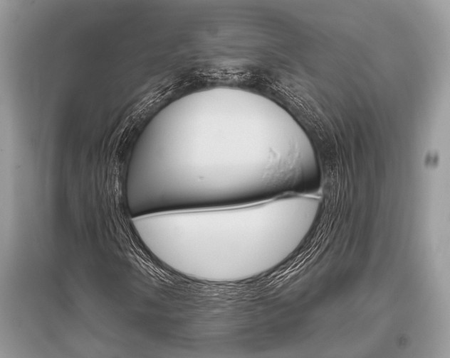 X0000096491058200801241205