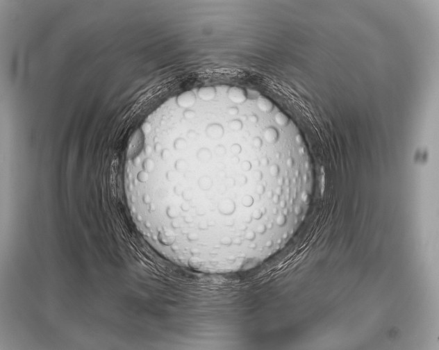 X0000096491059200801241205