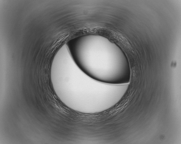 X0000096491060200801241205