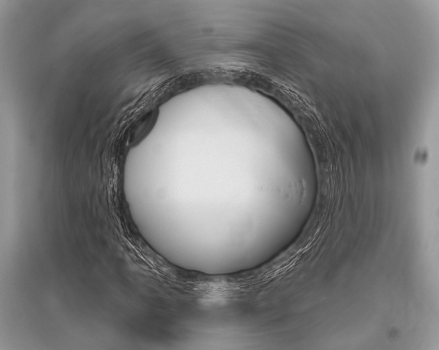 X0000096491061200801241205