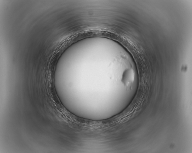 X0000096491062200801241205