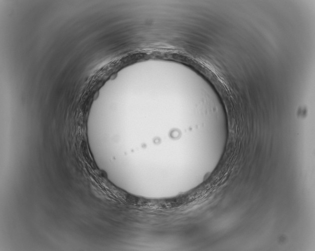 X0000096491063200801241205