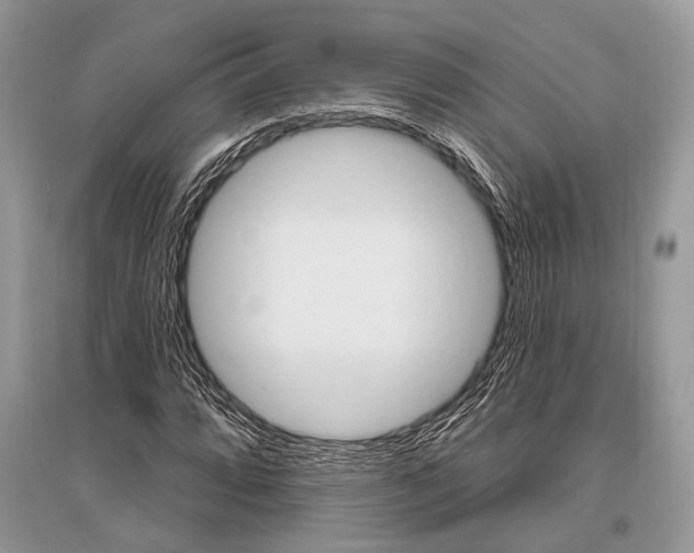 X0000096491064200801241205