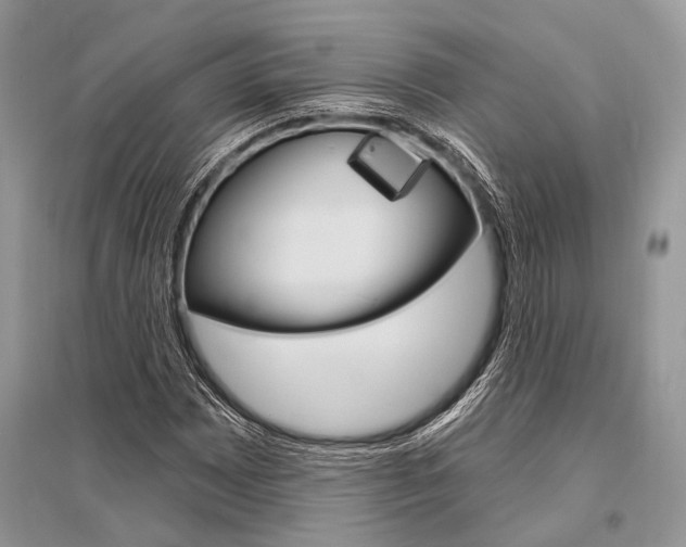 X0000096491065200801241205