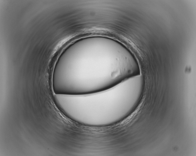 X0000096491066200801241205