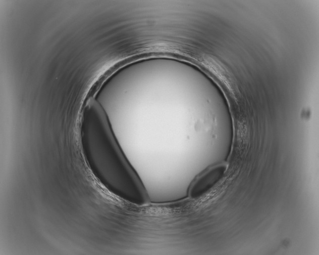 X0000096491068200801241205