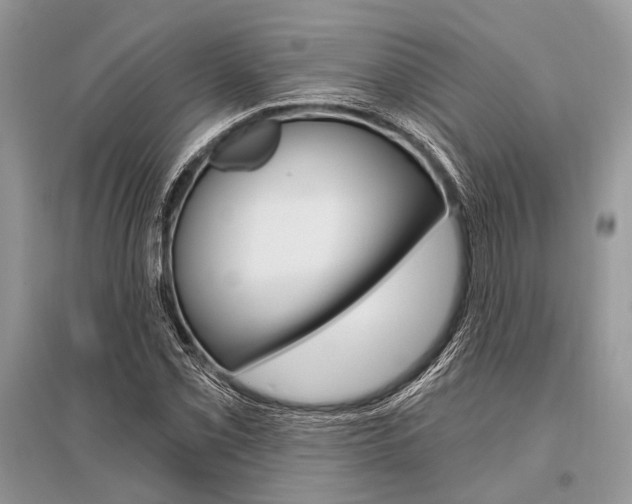 X0000096491069200801241205