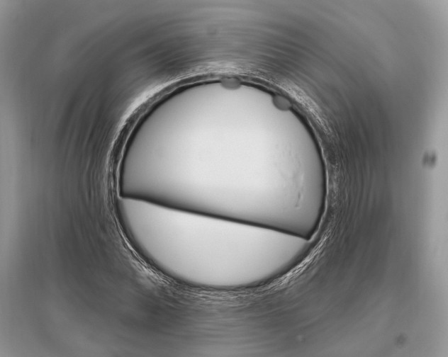 X0000096491070200801241205