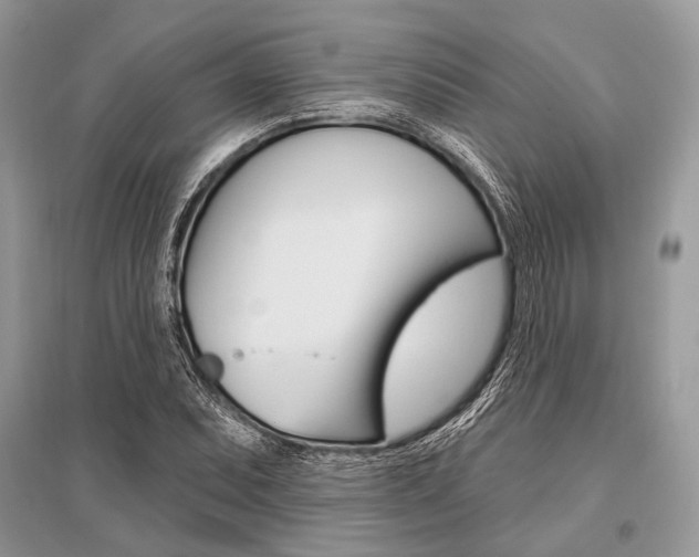 X0000096491071200801241205