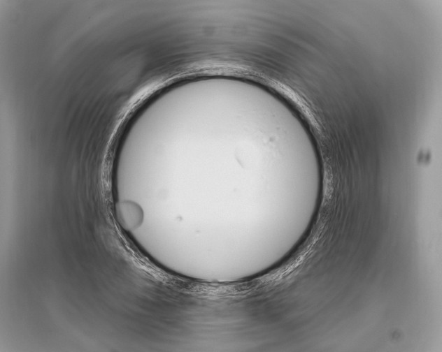 X0000096491074200801241205