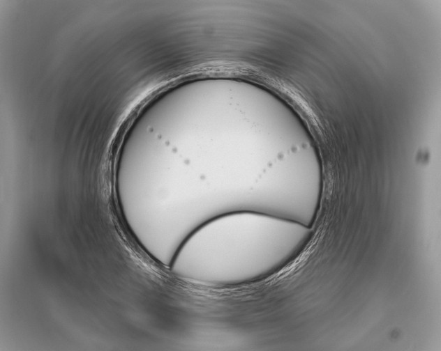 X0000096491075200801241205