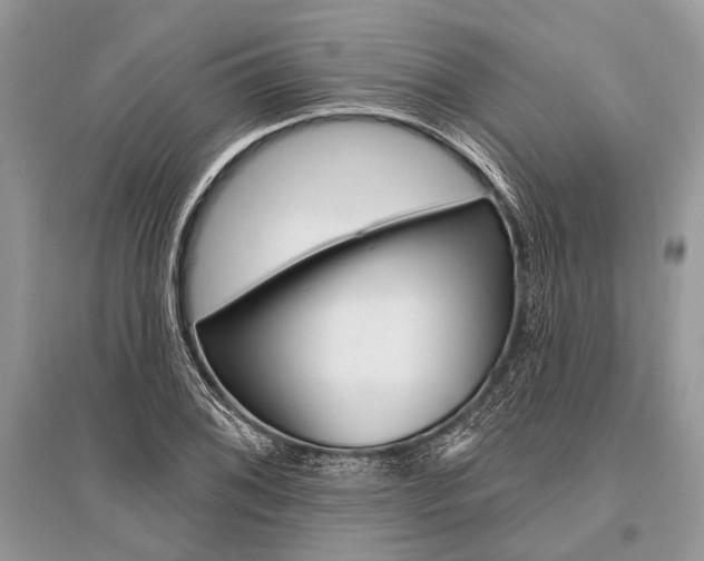 X0000096491076200801241205