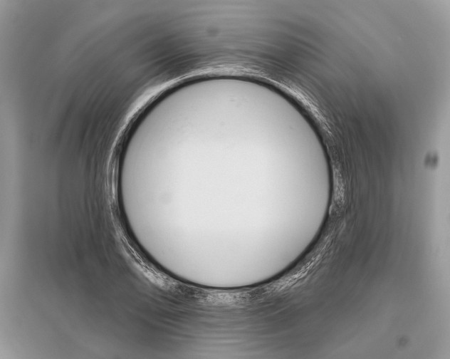 X0000096491078200801241205