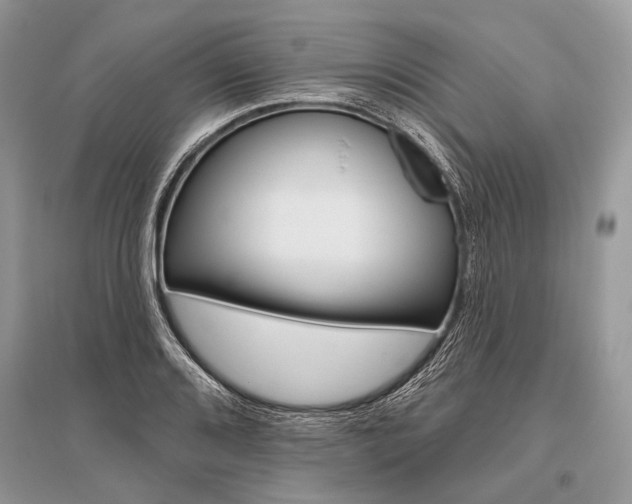 X0000096491080200801241205
