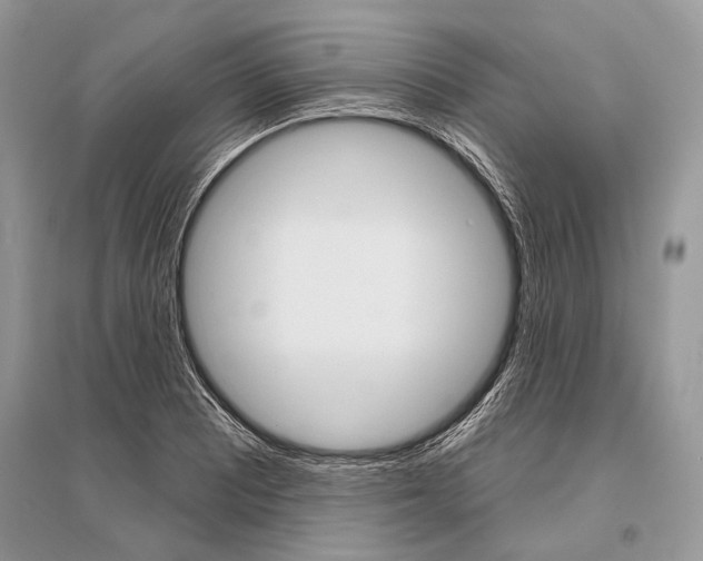 X0000096491081200801241205