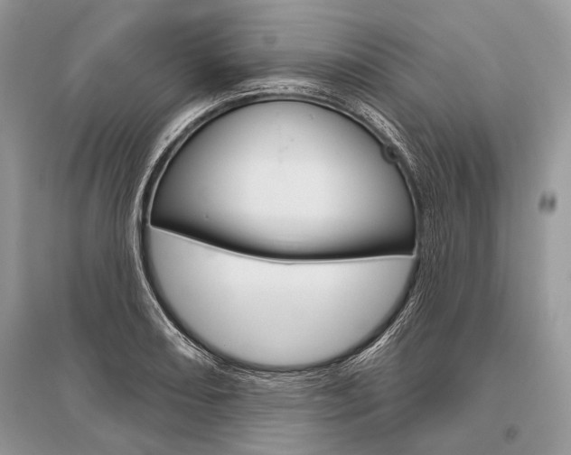 X0000096491082200801241205