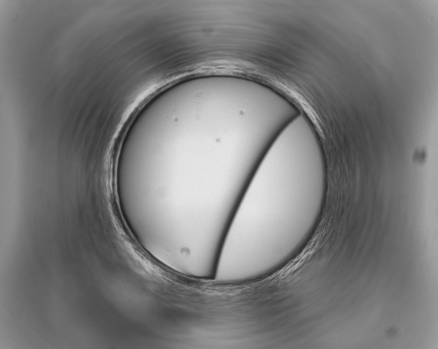 X0000096491083200801241205