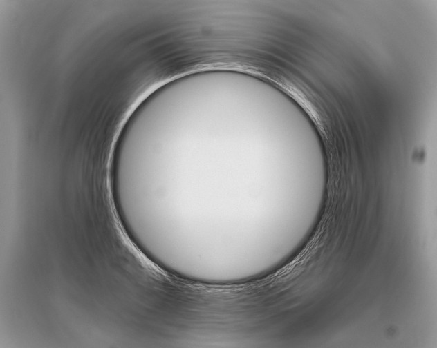 X0000096491084200801241205