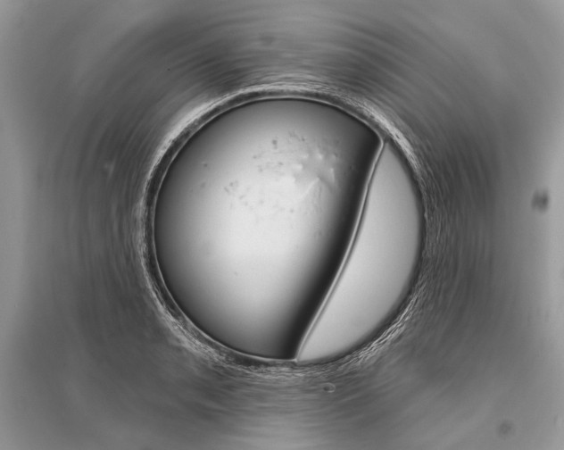 X0000096491085200801241205